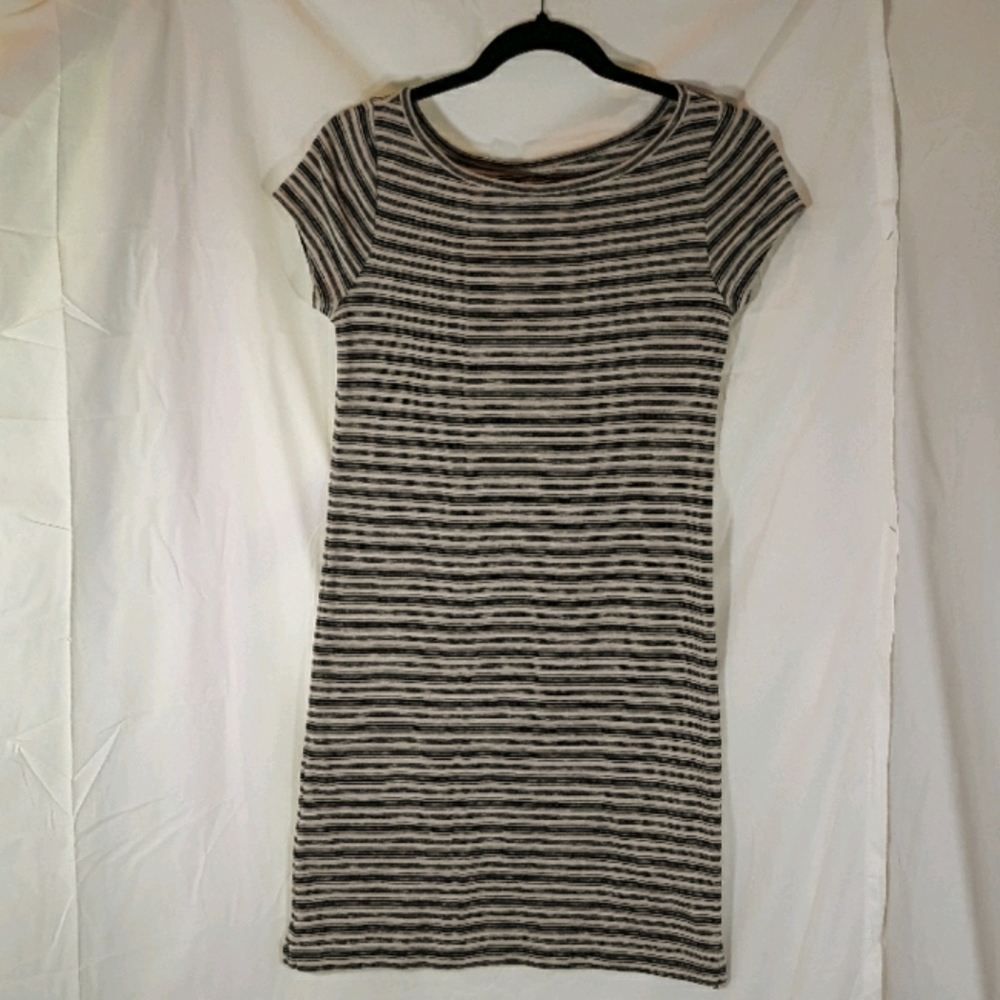 Ann Taylor Loft Dress